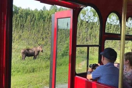 Anchorage Trolley Tour