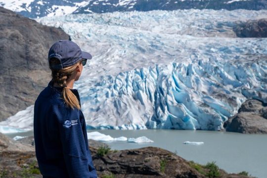 Juneau Shore Excursion: Mendenhall Glacier Guided Hike