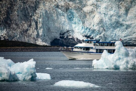 Kenai Fjords National Park Cruise from Seward