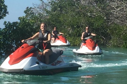 1.5 Hour (20 miles) Waverunner Tour. See Mangrove Tunnels, 20 Islands & SandBar