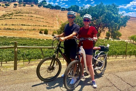 Santa Barbara Vineyard to Table Taste Tour by E-Bike