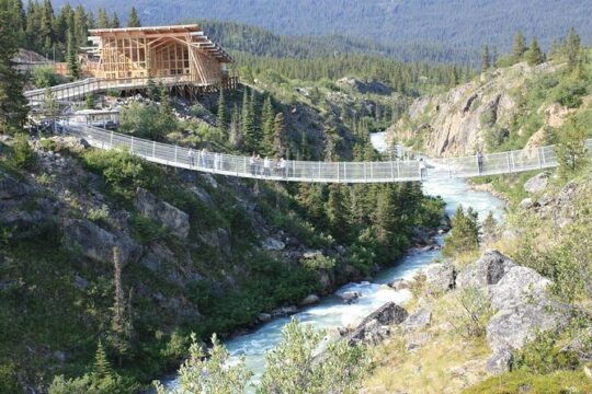 Half-Day Yukon Sightseeing Shore Excursion from Skagway