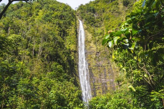 Ultimate Hana Full-Day Adventure Tour