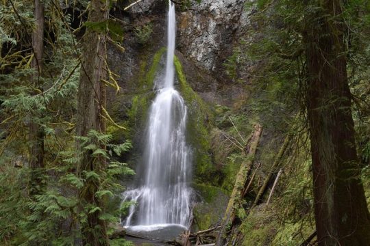 Lake Crescent and Marymere Falls Guided Tour in Olympic National Park