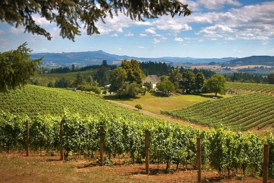 Willamette Valley Wine Tasting from Portland