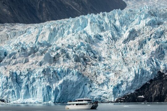 Seward Shore Excursion: Pre- or Post-Cruise Kenai Fjords National Park Tour