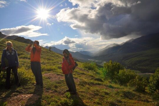 Denali Hiking Tour