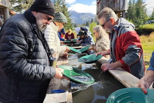 Gold Panning in Seward