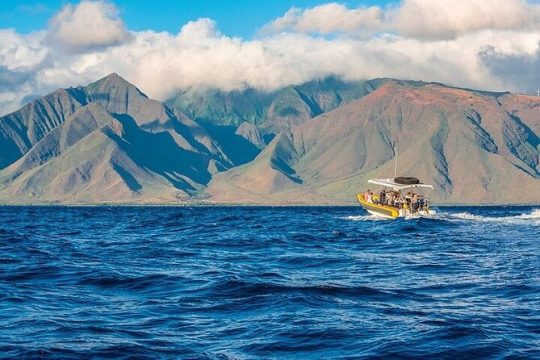 Lanai Deluxe Dolphin Adventure & 3 Snorkel Sites