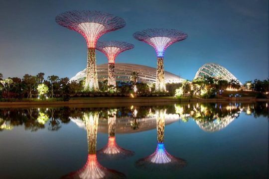 Flower Dome & Cloud Forest + OCBC Skyway