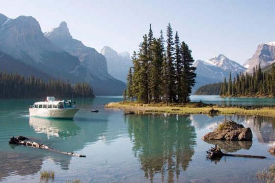 5.5-Hour Jasper Wildlife and Waterfalls Tour with Maligne Lake Cruise from Jasper