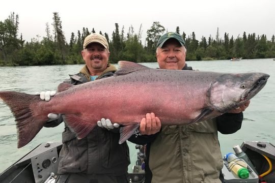 Salmon Fishing Trips on the Kenai River and Kasilof River, Alaska