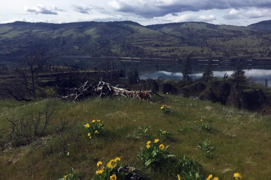 Columbia Gorge Hike, Wine, & Discover