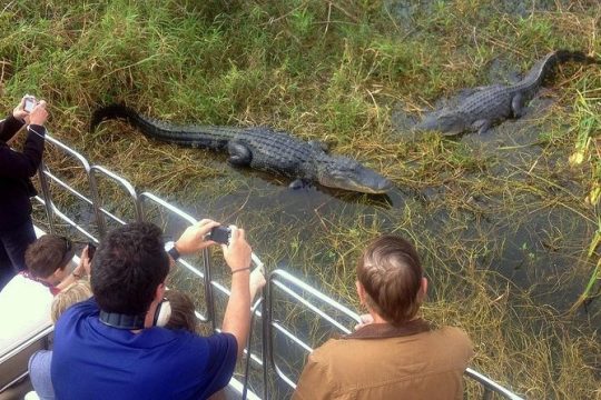 Central Florida Everglades Airboat Tour from Orlando