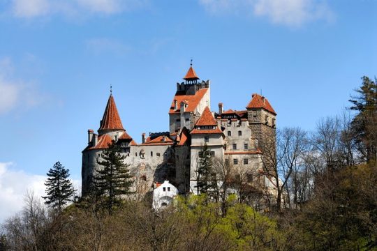 Bran Castle and Rasnov Fortress Tour from Brasov with Optional Peles Castle Visit