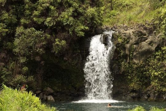 Waterfall and Rainforest Adventure