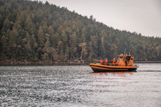 Whale Watching Nanaimo Open Boat Tour