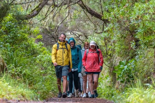 Skywalk & Rabacal "25 Fountains Levada Walk" in 4X4 Full Day Tour