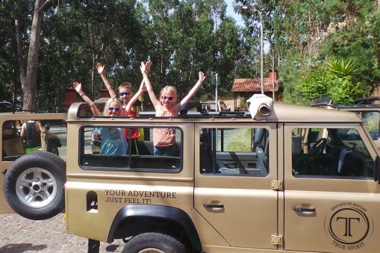 Private Half-Day 4X4 Tour: East or West