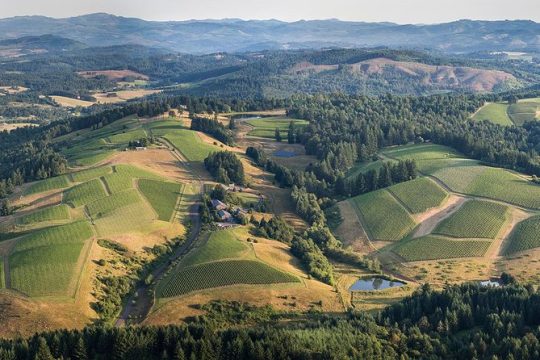 All Day Northern Oregon Wineries and Forest Bike Tour