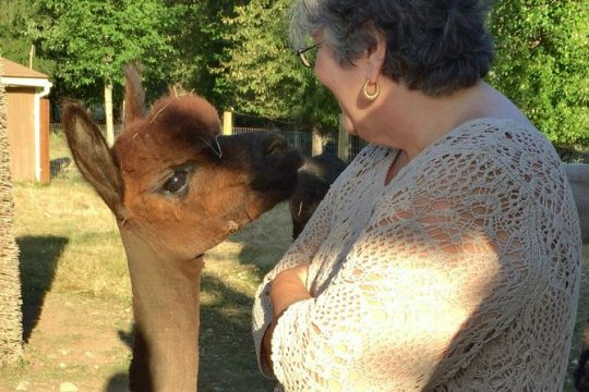 Alpaca Ranch and Fiber Processing Mill Tour