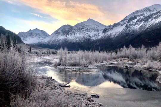 Winter Valley and Forest Hike