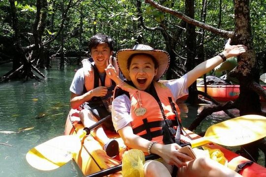 Mangrove Forest Kayaking Tour from Langkawi