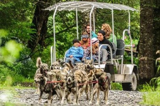 Kennel Tour and Dog Sled Ride