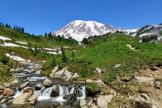 Mount Rainier National Park - Private Luxury Day Tour with Lunch