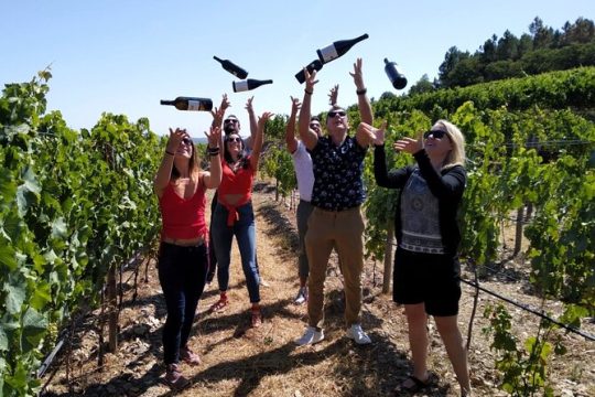 Douro Valley Small-Group Tour with Wine Tasting, Lunch and Optional Cruise