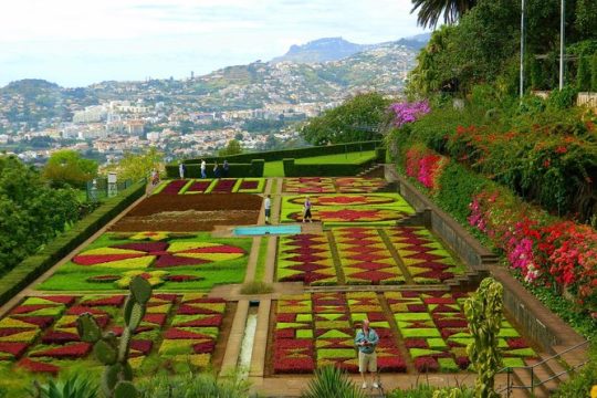 Private Half day Madeira tour (8 seat Mercedes Vito)