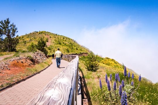 East of Madeira | Full Day 4x4 Tour