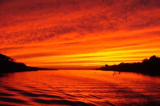 Dinner Cruise with Dolphin and Whale Watching from Cape May