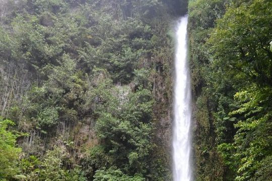 Middleham Falls and Ti'tou Gorge Half-Day Excursion