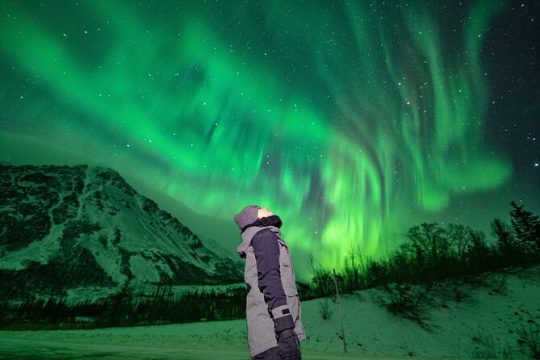 Incredible Aurora Viewing Adventure