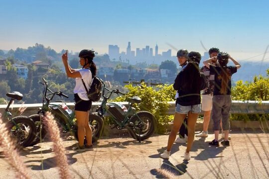 All Day LA Private E-Bike Tour