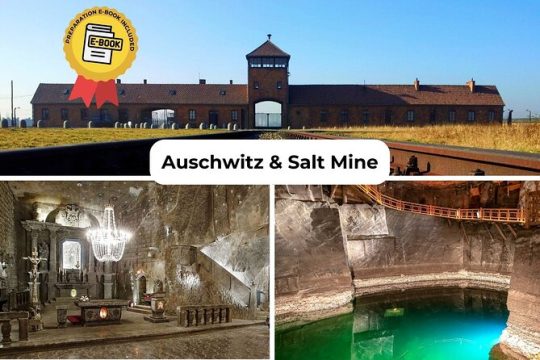 Krakow to Auschwitz Birkenau and Salt Mine 1 Day Tour FREE ebook