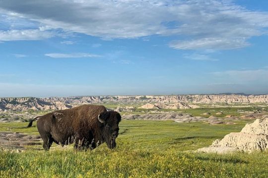 Private Badlands National Park Day Tour