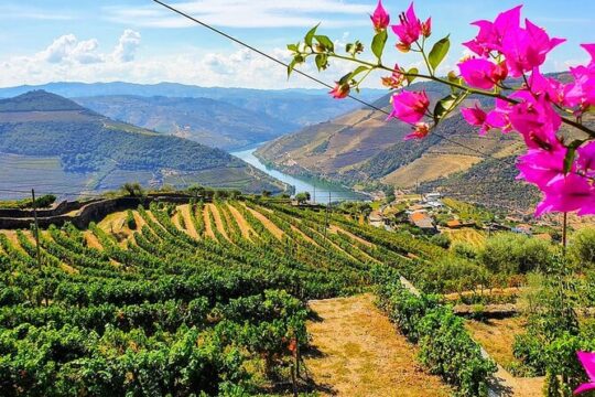 Douro Valley tour from Porto with wine, lunch and river cruise