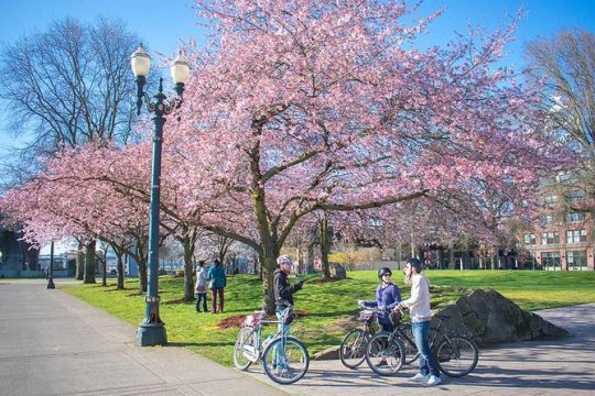 Essential Portland Bike and E-Bike Tour!