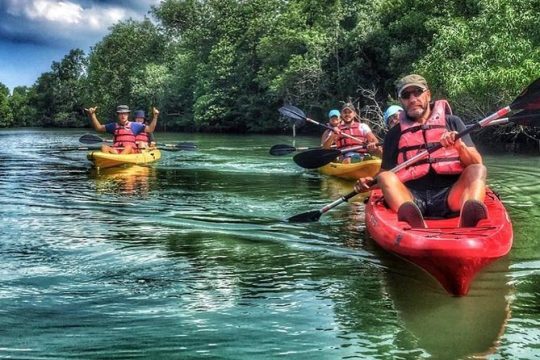 Mangrove Kayaking Adventure in Singapore