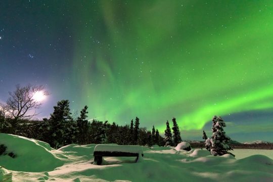 Arctic Circle and Northern Lights Tour from Fairbanks