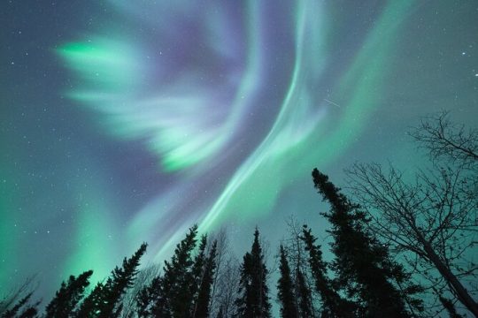 Northern Lights Viewing at Murphy Dome