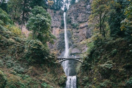 Afternoon Half-Day Multnomah Falls and Columbia River Gorge Waterfalls Tour from Portland