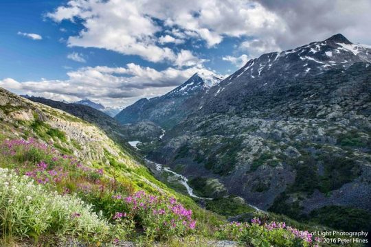 White Pass Summit and Yukon Suspension Bridge Tour