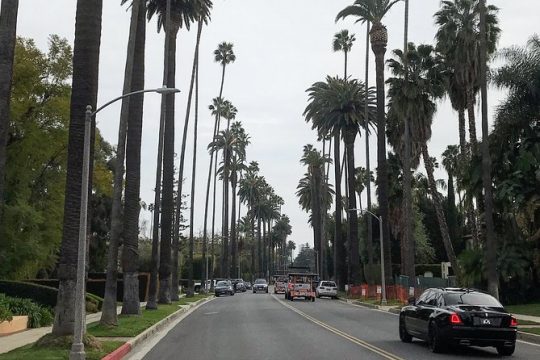 4 Hour Private Tour of Hollywood and Beverly Hills from Santa Monica or Downtown