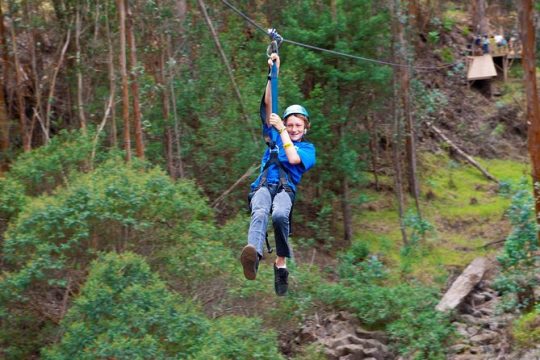 Haleakala 5 Line Zipline Adventure