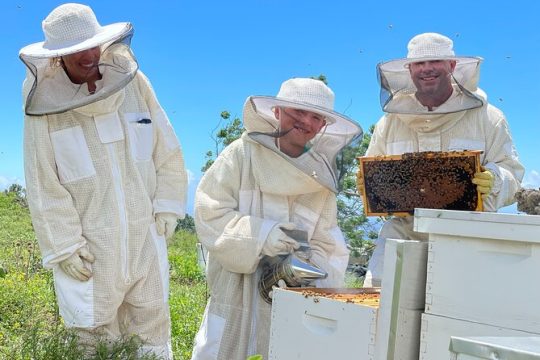 Honey Bee Adventure at the Maui Honey Bee Sanctuary