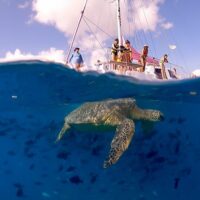 Snorkeling