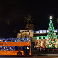 Trolley Tours